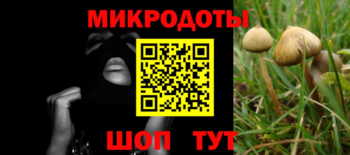 Галлюциногенные грибы прущие грибы  Вход с VPN  Азов 
