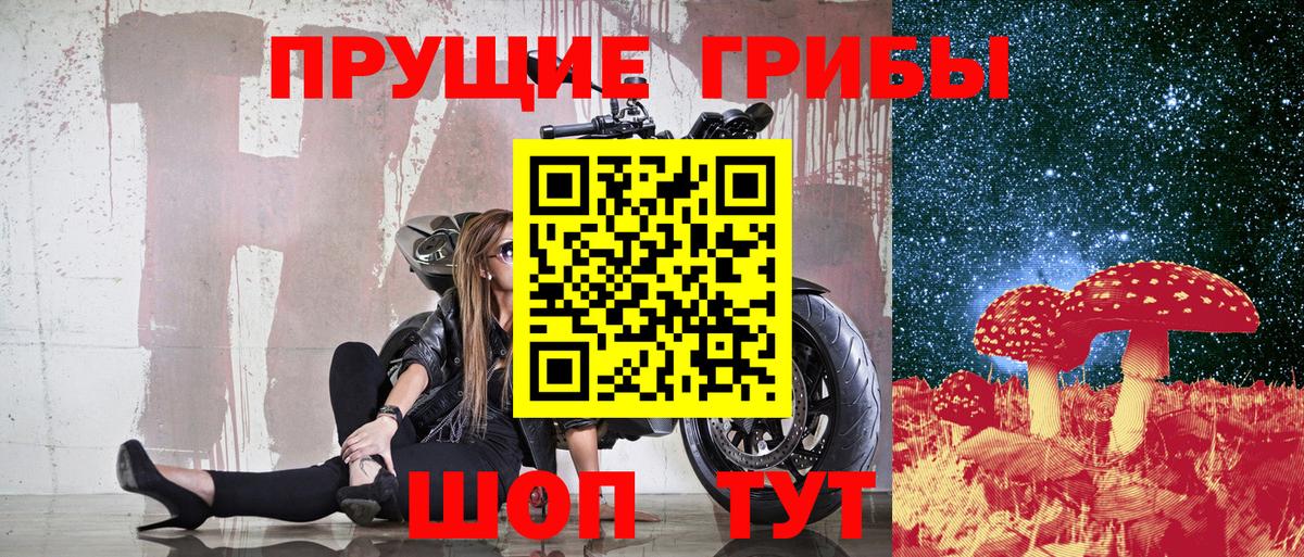 Галлюциногенные грибы Psilocybe Азов